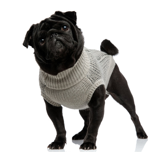 Benefits of Pet Apparel: Keeping Your Furry Friend Happy and Stylish