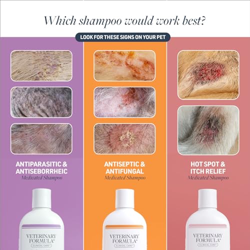 Veterinary Formula Clinical Care Antiseptic and Antifungal Medicated Shampoo for Dogs & Cats, 16oz – Helps Alleviate Scaly, Greasy, red Skin – Paraben, Dye, Soap-Free