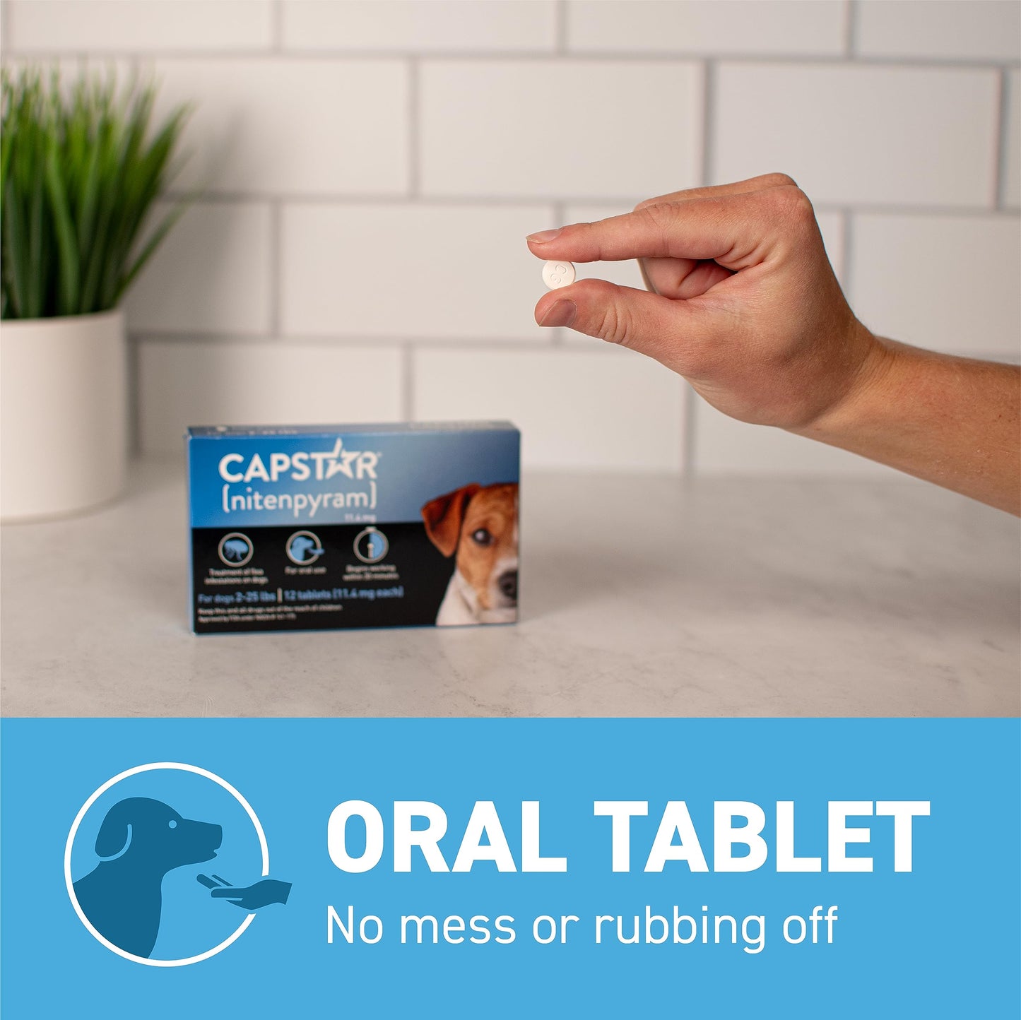 Capstar Fast-Acting Oral Flea Treatment for Dogs 2-25 lbs, Vet-Recommended Medication Tablets Start Killing in 30 Minutes, 6 Doses