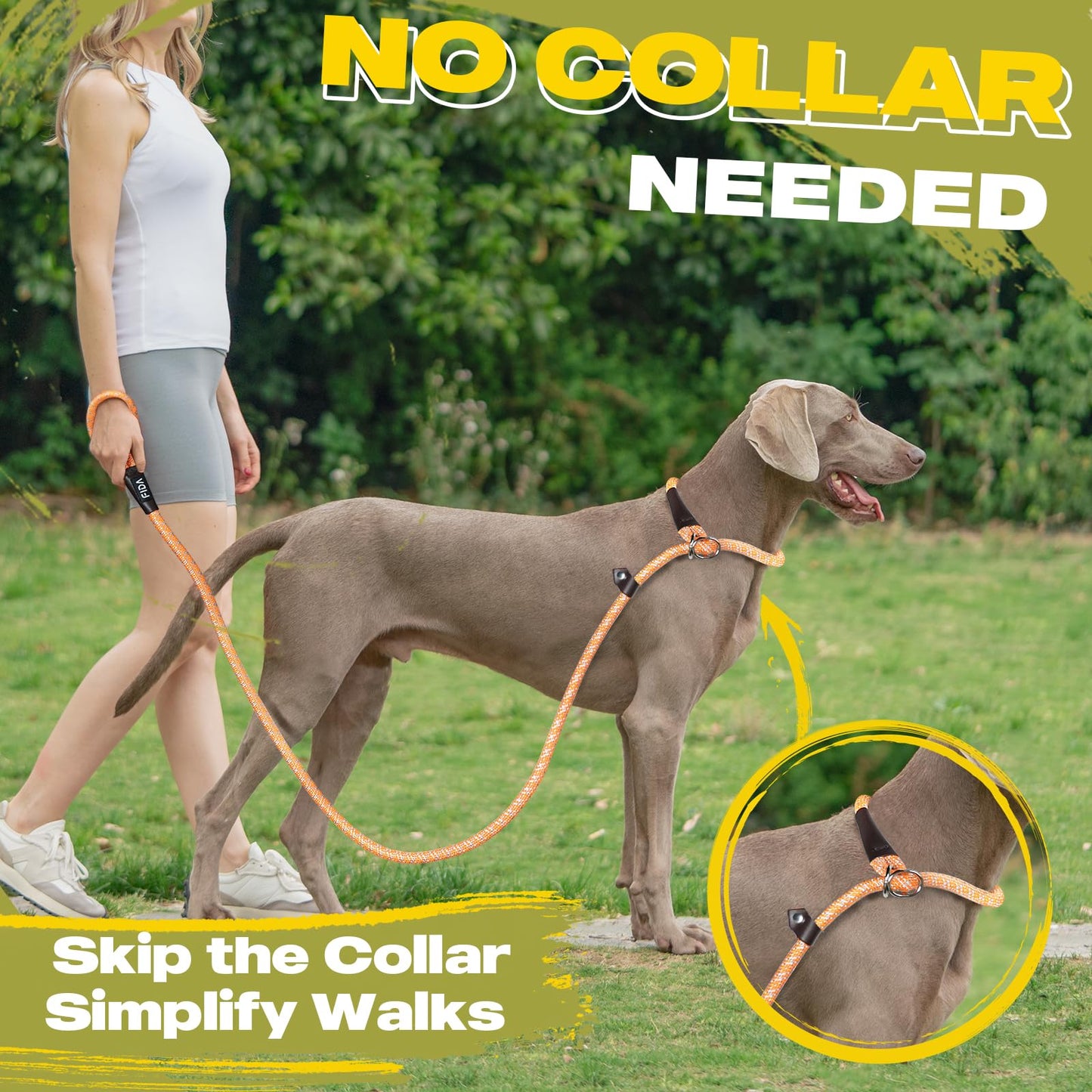Fida Durable Slip Loop Lead for Large, Medium Dogs, 6 FT x 1/2" Heavy Duty, Comfortable Strong Rope, No Pull Pet Training Leash with Highly Reflective, Orange