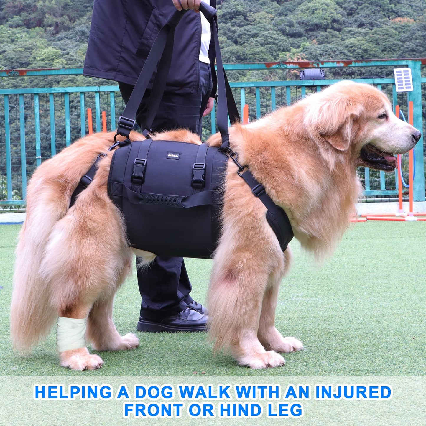 Dog Carry Sling, Emergency Backpack Pet Legs Support & Rehabilitation Dog Lift Harness for Large Dogs, Dog Carrier for Senior Dogs Joint Injuries, Arthritis, Up and Down Stairs (Black, XL)