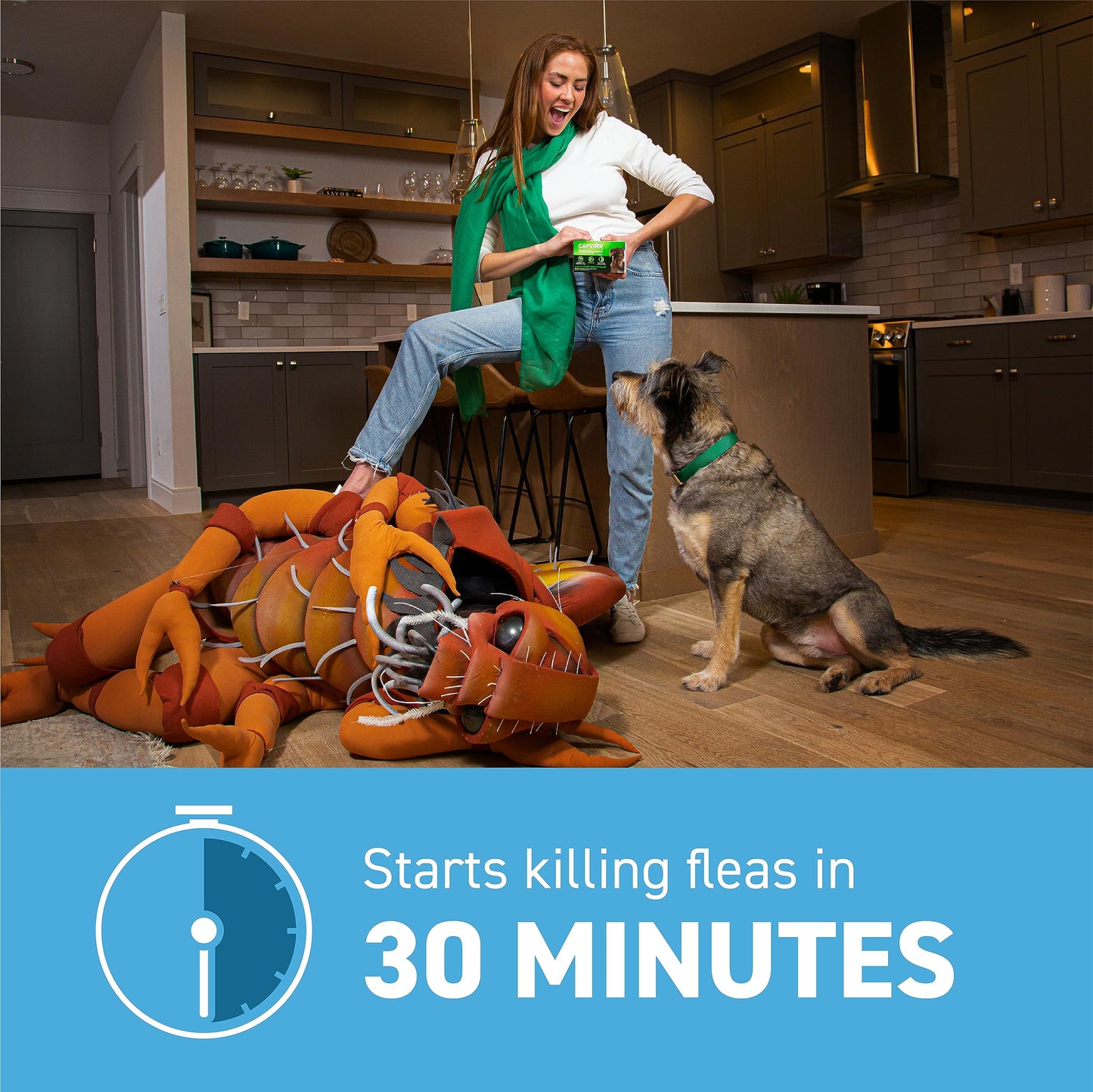Capstar Fast-Acting Oral Flea Treatment for Dogs 2-25 lbs, Vet-Recommended Medication Tablets Start Killing in 30 Minutes, 6 Doses