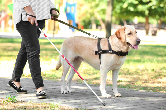 Helpful Facts About Service Animals